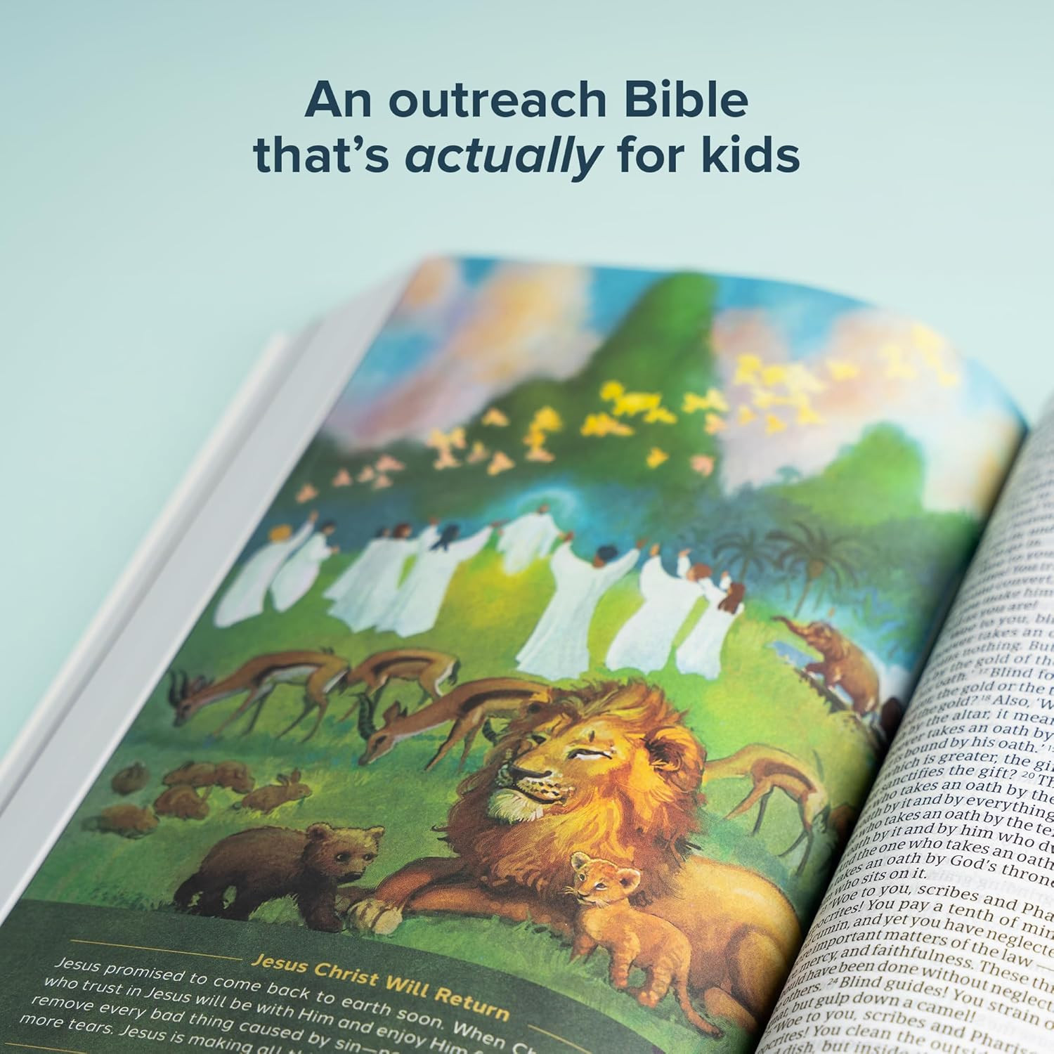 CSB Holy Bible for Kids, Large Print, Economy Edition, Black Letter, Presentatio