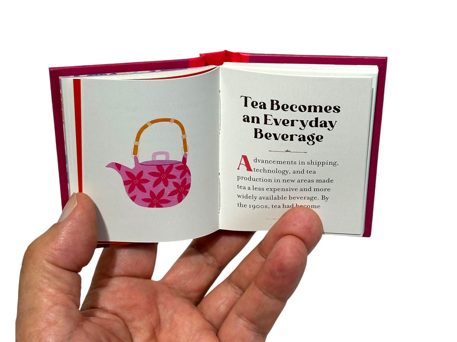 Tea Lover&rsquo;s collectible Box Set three illustrated mini books hardcover 126pg ea