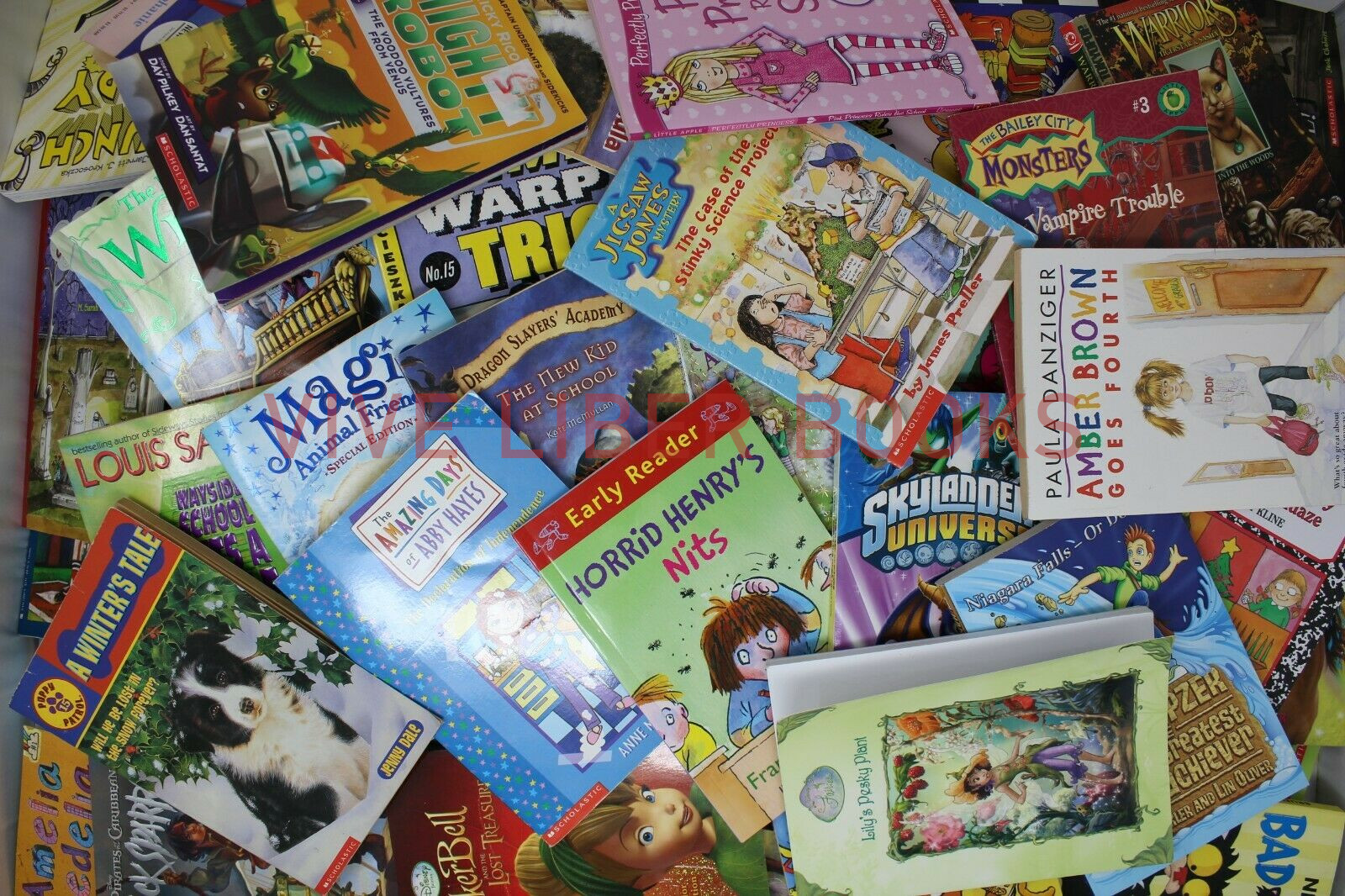 Bulk/Huge Lot of 50 of Children&rsquo;s Kids Chapter Books – Random – Free Shipping!