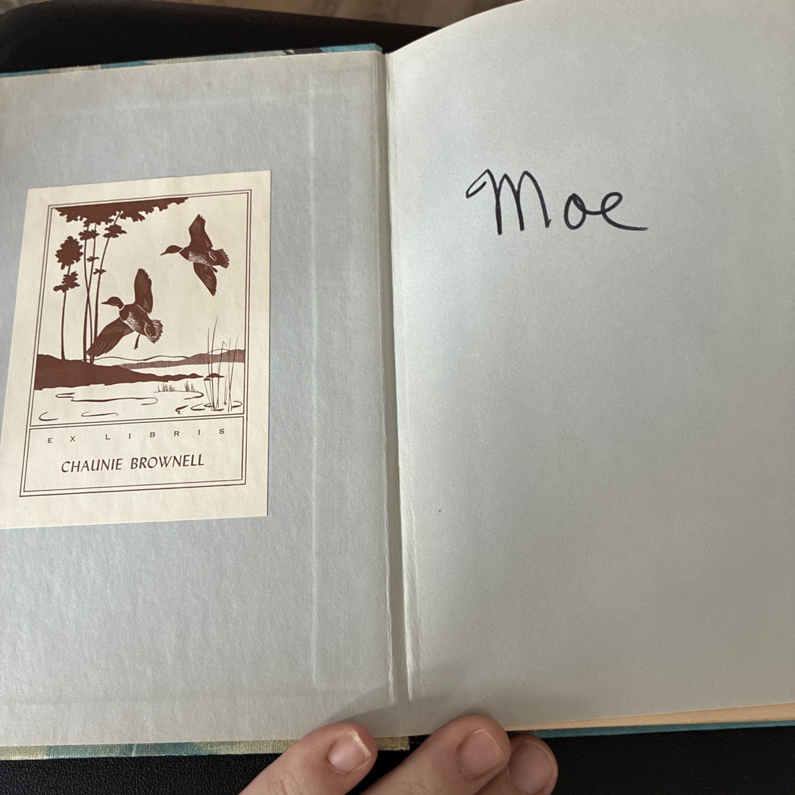 GULL NUMBER 737 by Jean Craighead George, 1964 Young America Book Club Edition