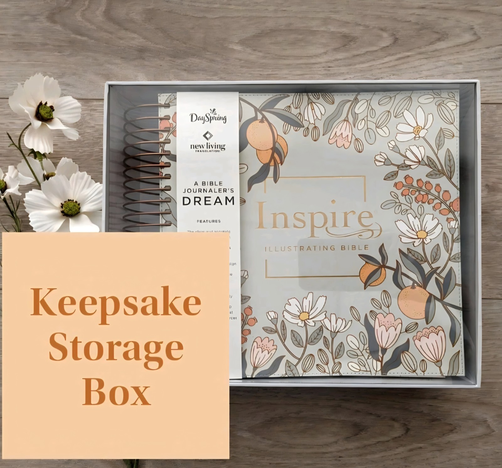 NLT Bible DaySpring Inspire Illustrating Bible With Filament App Spiral Bound