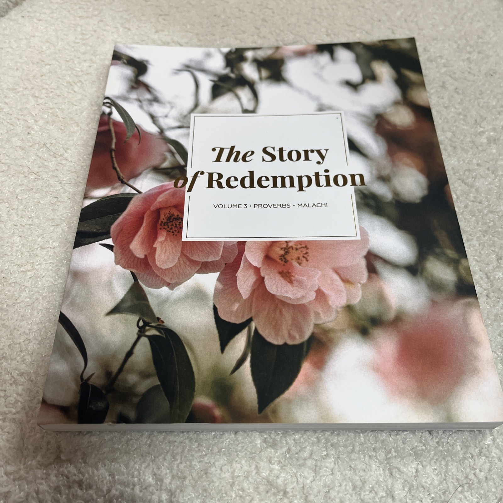 Lot 10 The Daily Grace Co Bible Study Guides New Testament Story Of Redemption