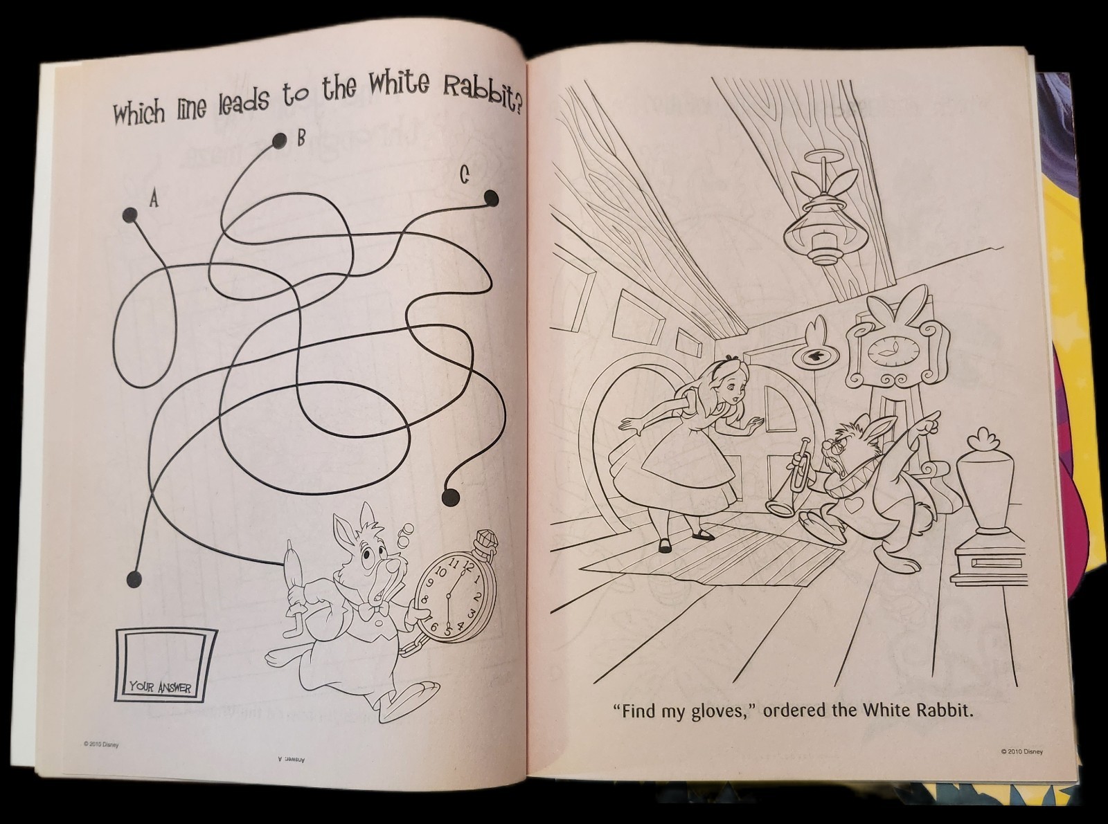DISNEY ALICE IN WONDERLAND COLORING BOOKS (64 PAGES EACH) FREE SHIPPING USA