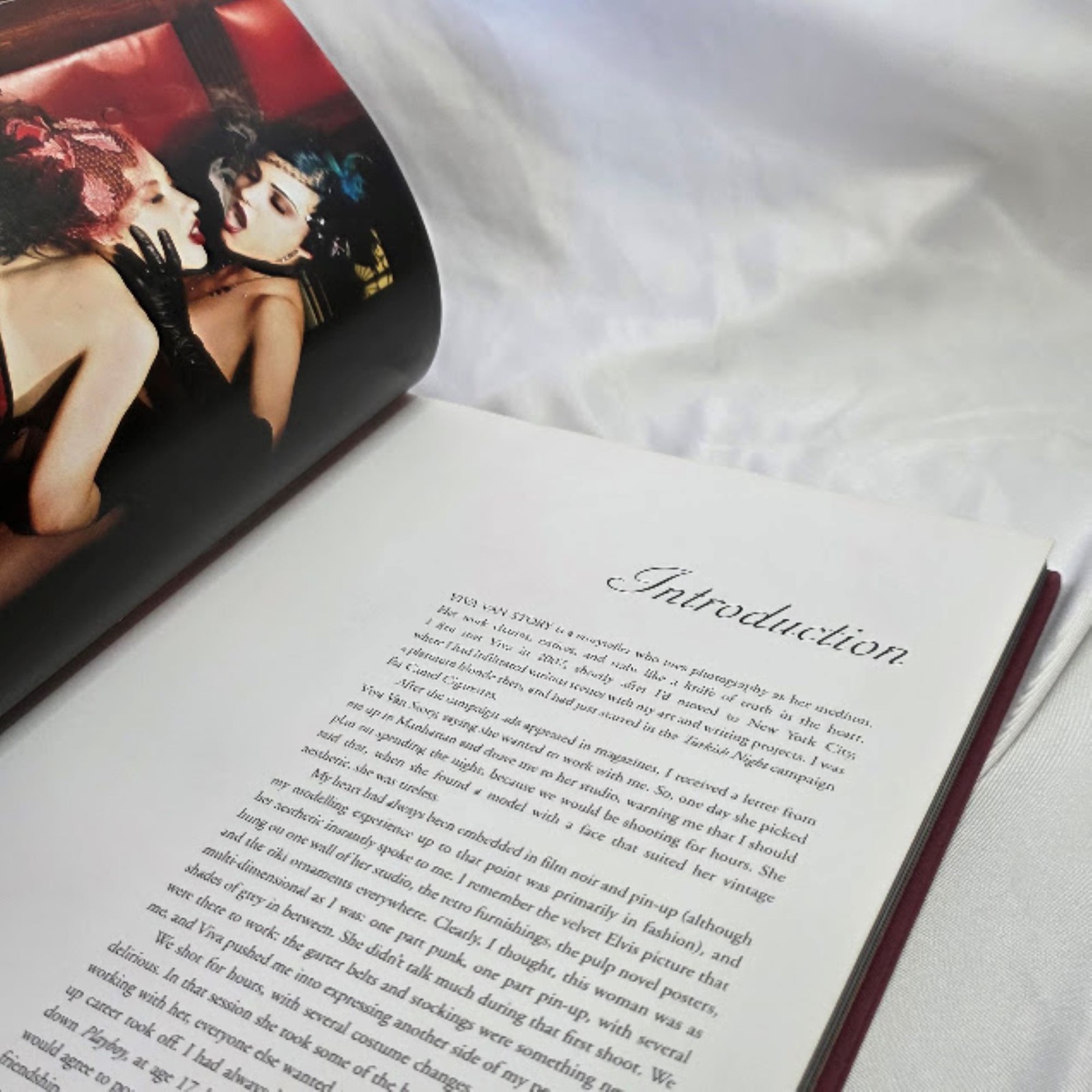 Viva&rsquo;s Pinups : Bullet Bras and Backseat Betties by Tyson McAdoo and Korero…