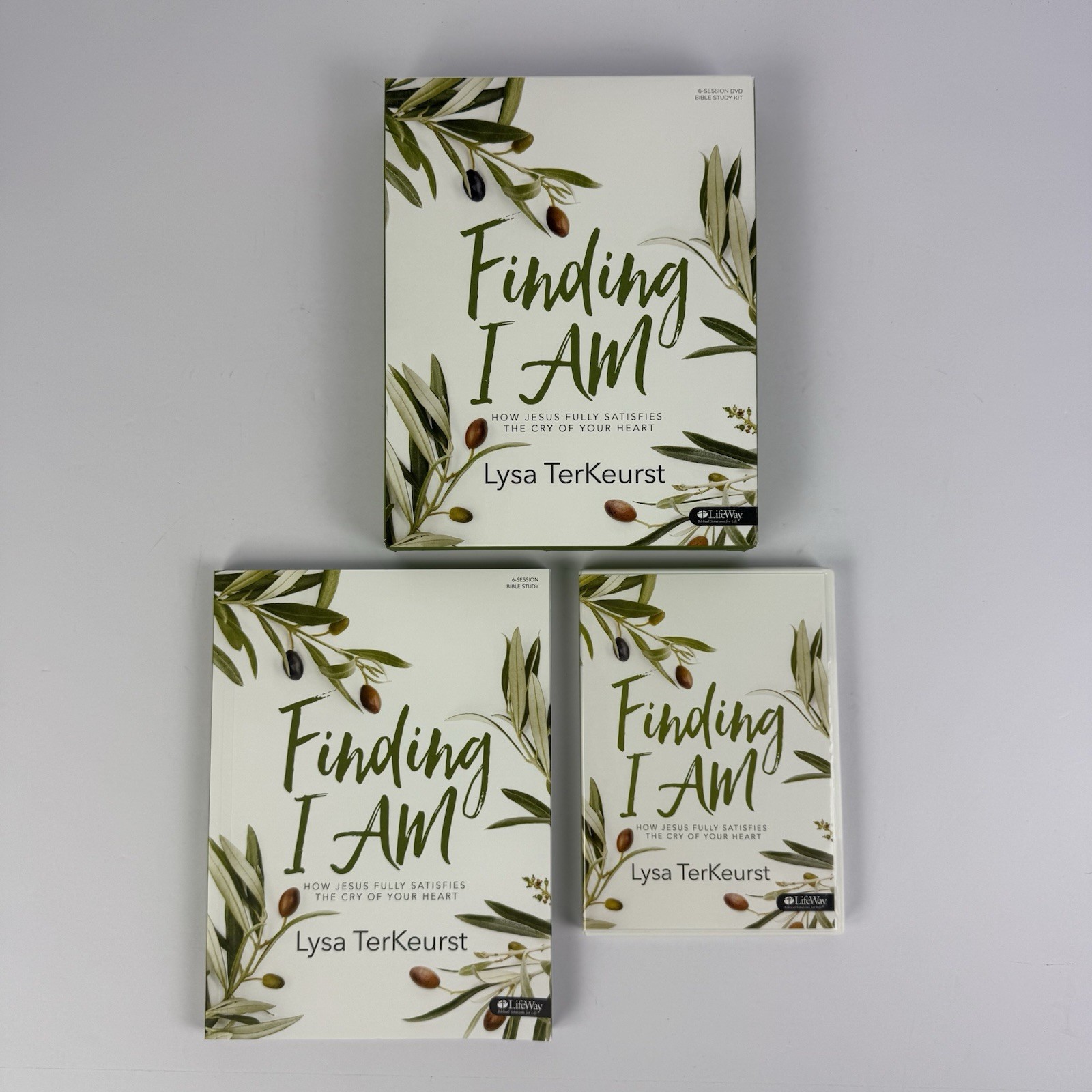 Finding I Am 6 Session DVD Bible Study Kit Lysa TerKeurst LifeWay 2016