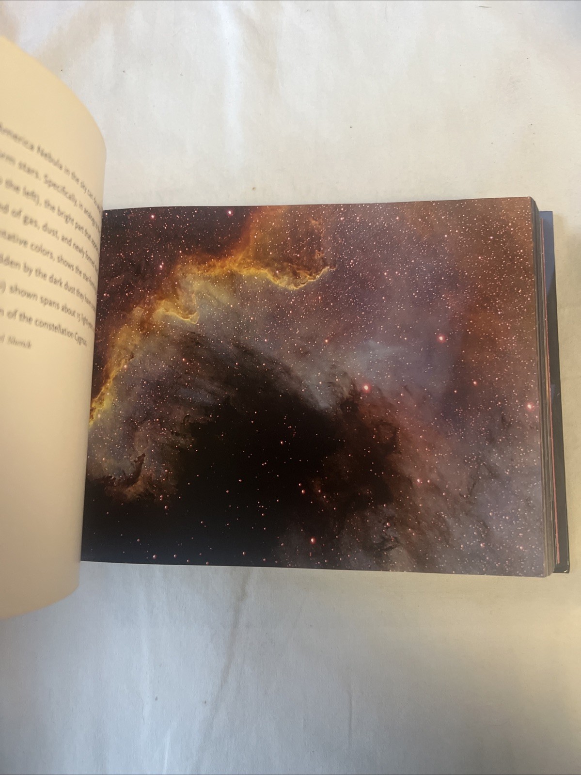 Astronomy: 365 Days – Hardcover By Bonnell, Jerry T. – Great Cond Big Book