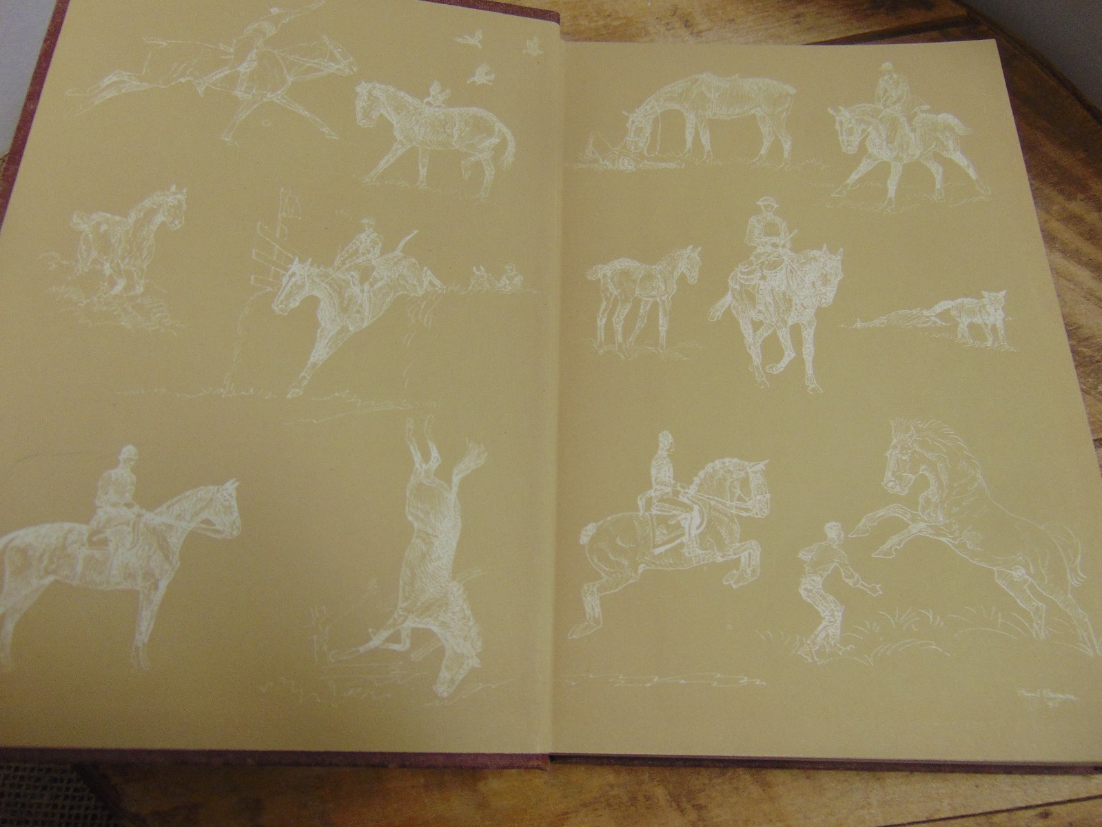 Great Horse Stories 1st Ed selected by Page Cooper Doubleday & Co 1946 HC