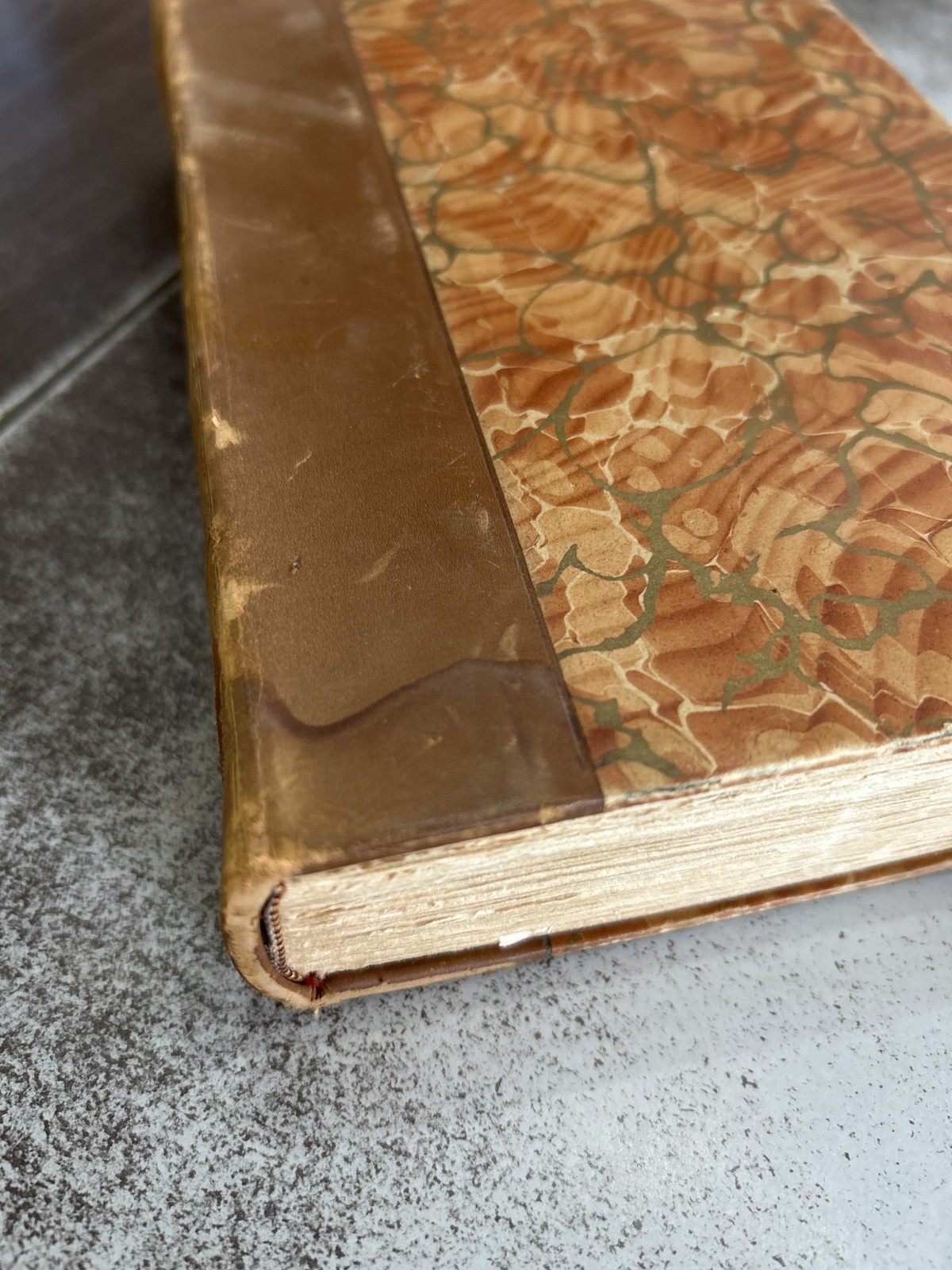 Thomas Carlyle&rsquo;s Works (1890) Full Set, Leather, 20-Vols Bound in 10