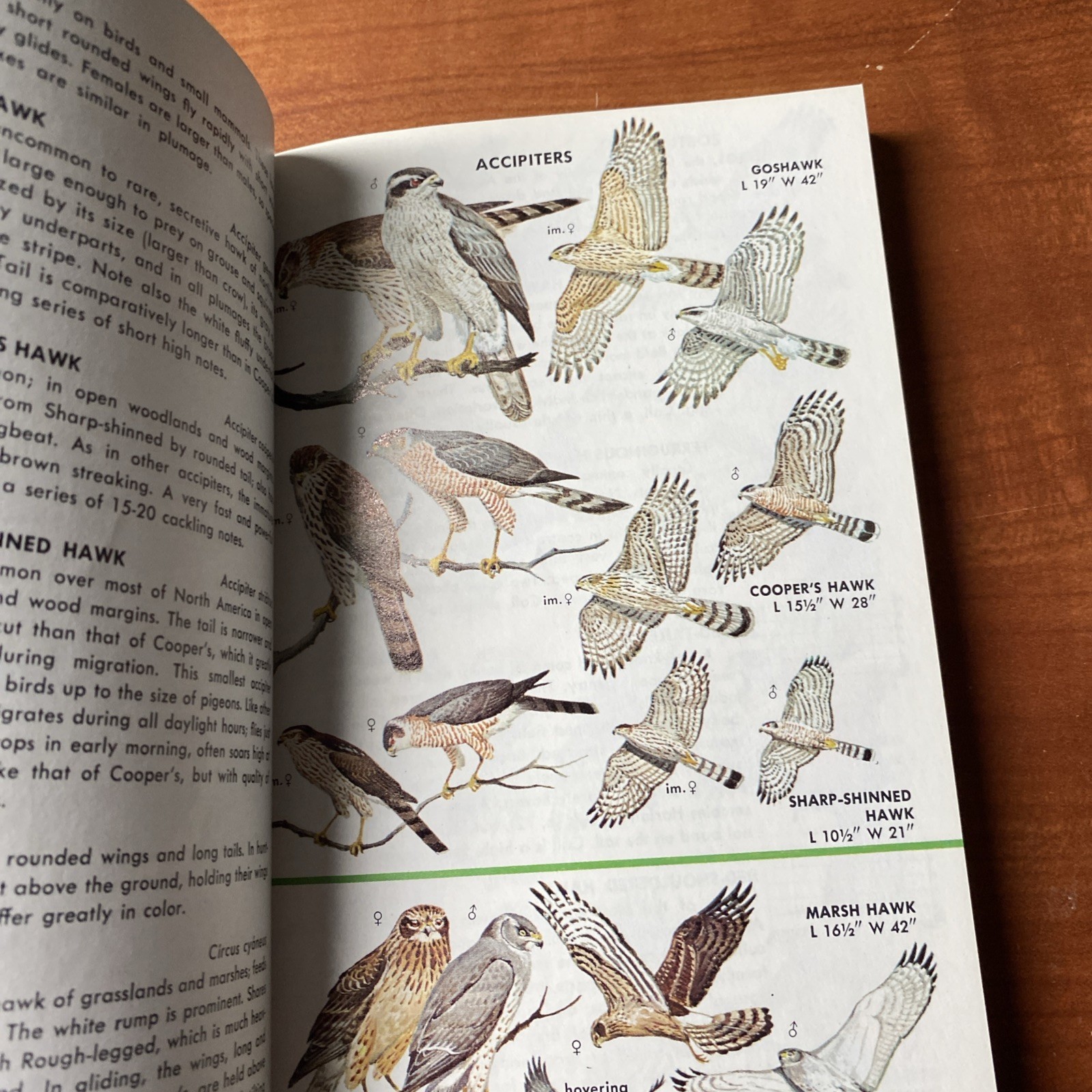 Guide to Field Identification Birds North America Golden Field Guide 1966 Trees