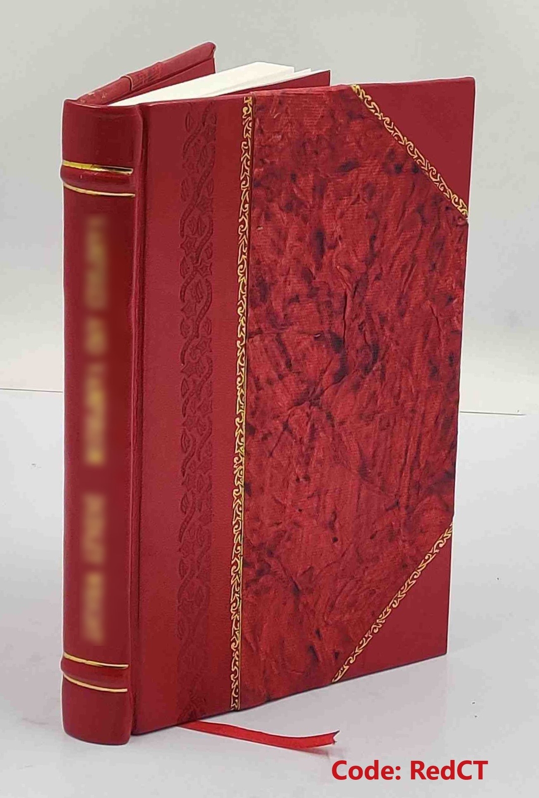 Die individualisirung der obligation 1886 by Ludwig Mitteis [Leather Bound]
