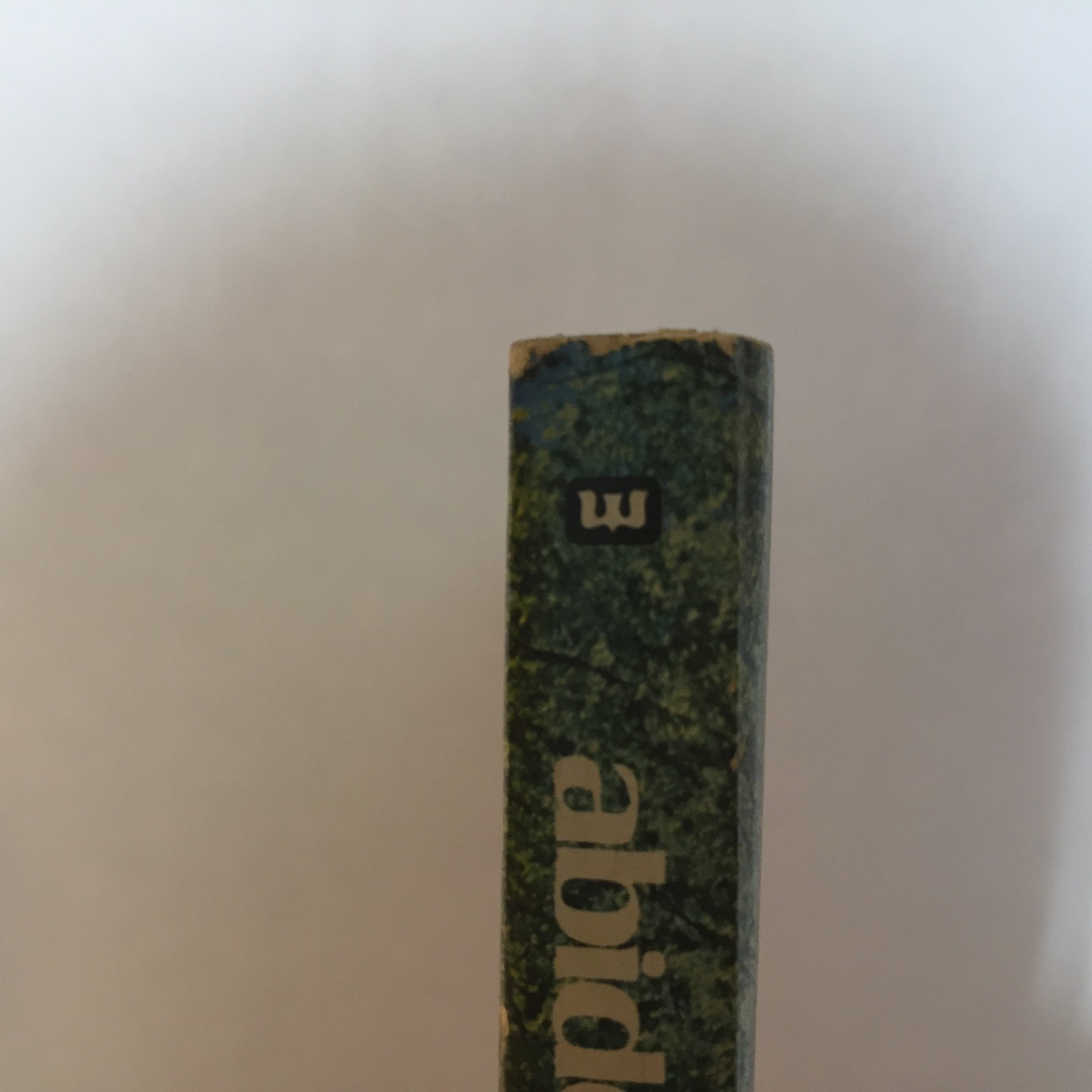 Abide In Christ Andrew Murray Whitaker House Union With Christ Paperback Book