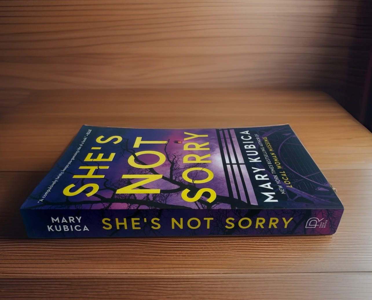She&rsquo;s Not Sorry Paperback Book by Mary Kubica Psychological Thriller