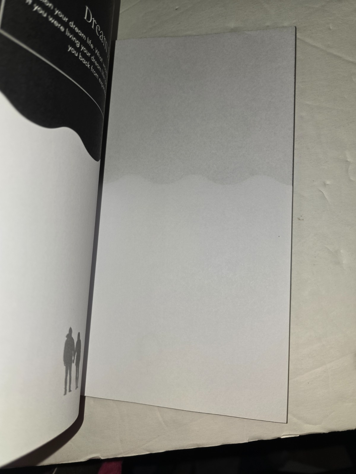 The Shadow Work Journal A Guide to Integrate and Transcend your Shadows N