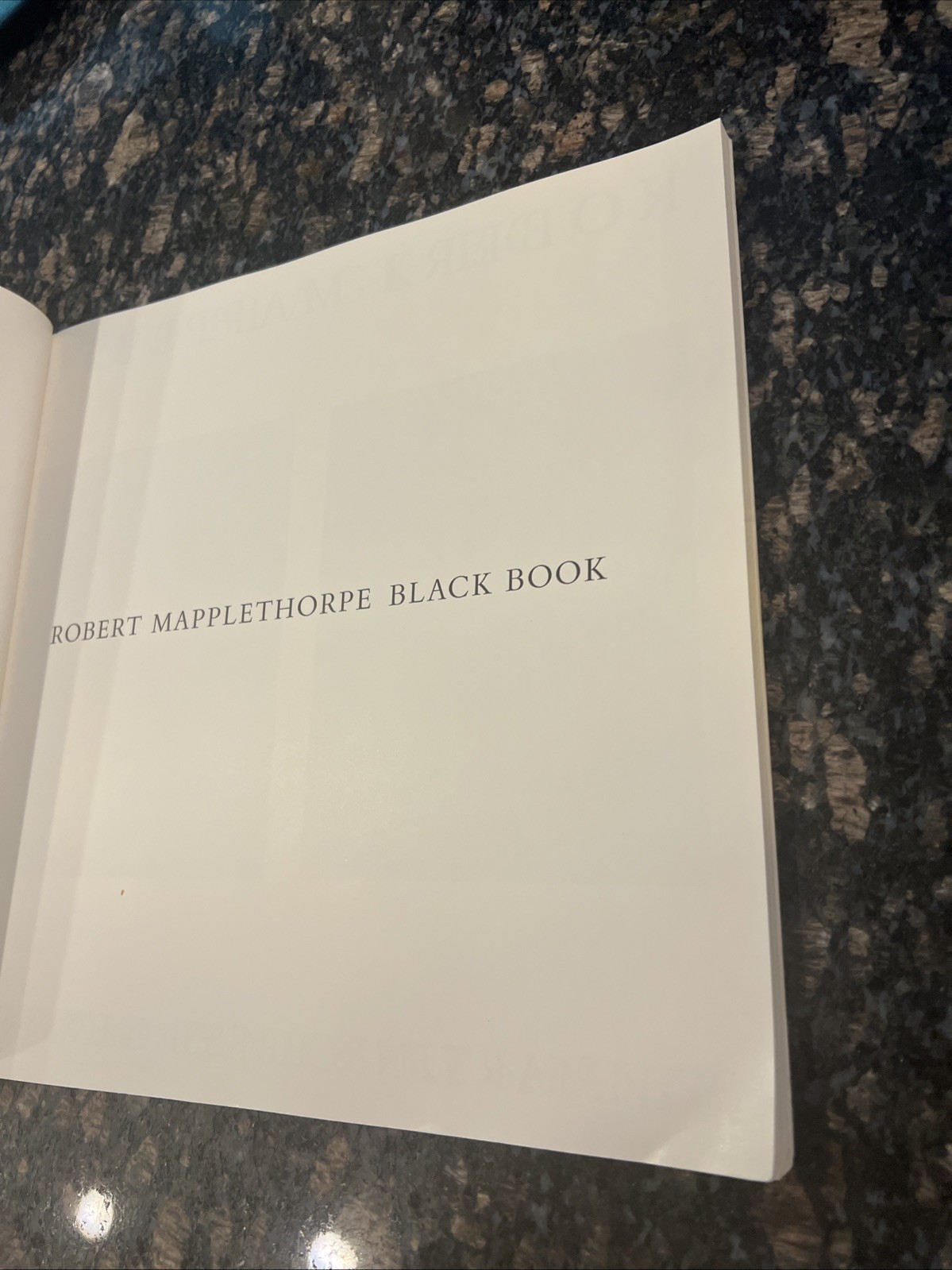 Black Book by Robert Mapplethorpe St. Martin&rsquo;s Press Paperback 1986
