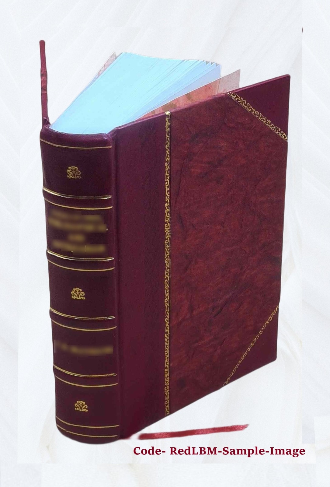 Vitalogy Or Encyclopedia Of Health And Home 1906 [Leather Bound]
