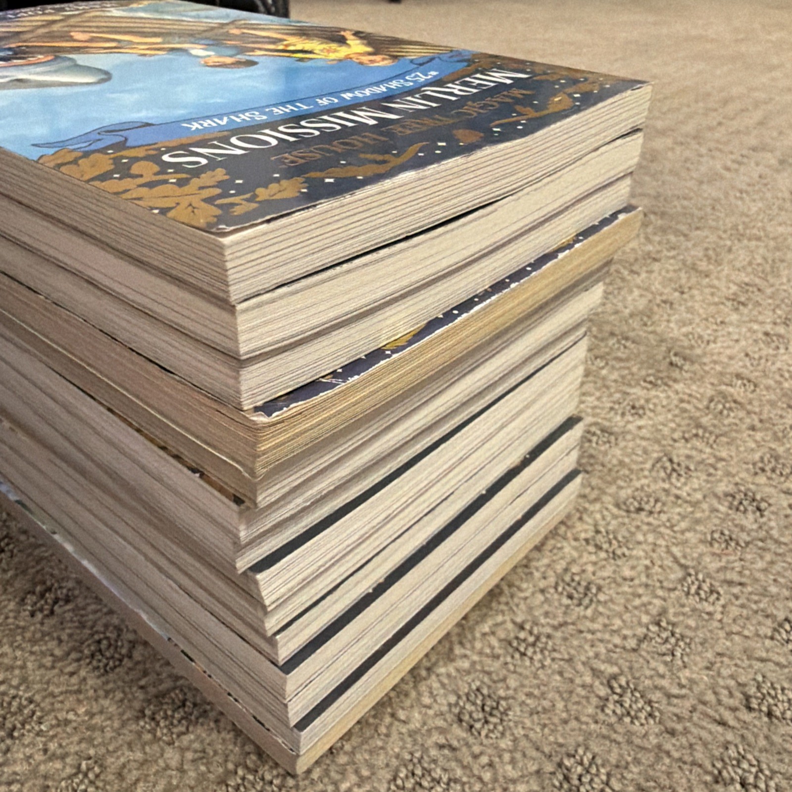 Lot of 14 Different Magic Tree House Merlin Missions Books by Mary Pope Osborne