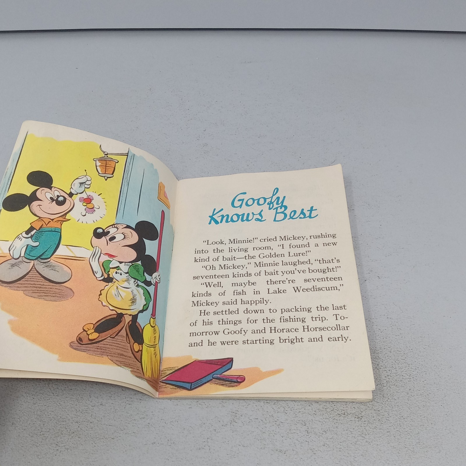 Walt Disney&rsquo;s Mickey Mouse&rsquo;s Summer Vacation 1948 Whitman Publishing Company PB