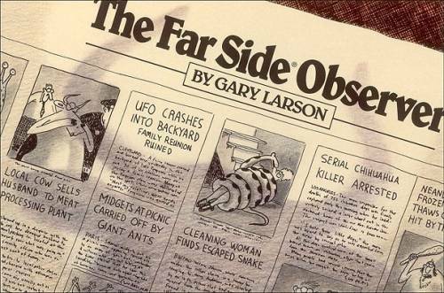 The Far Side Observer – Paperback By Larson, Gary – GOOD