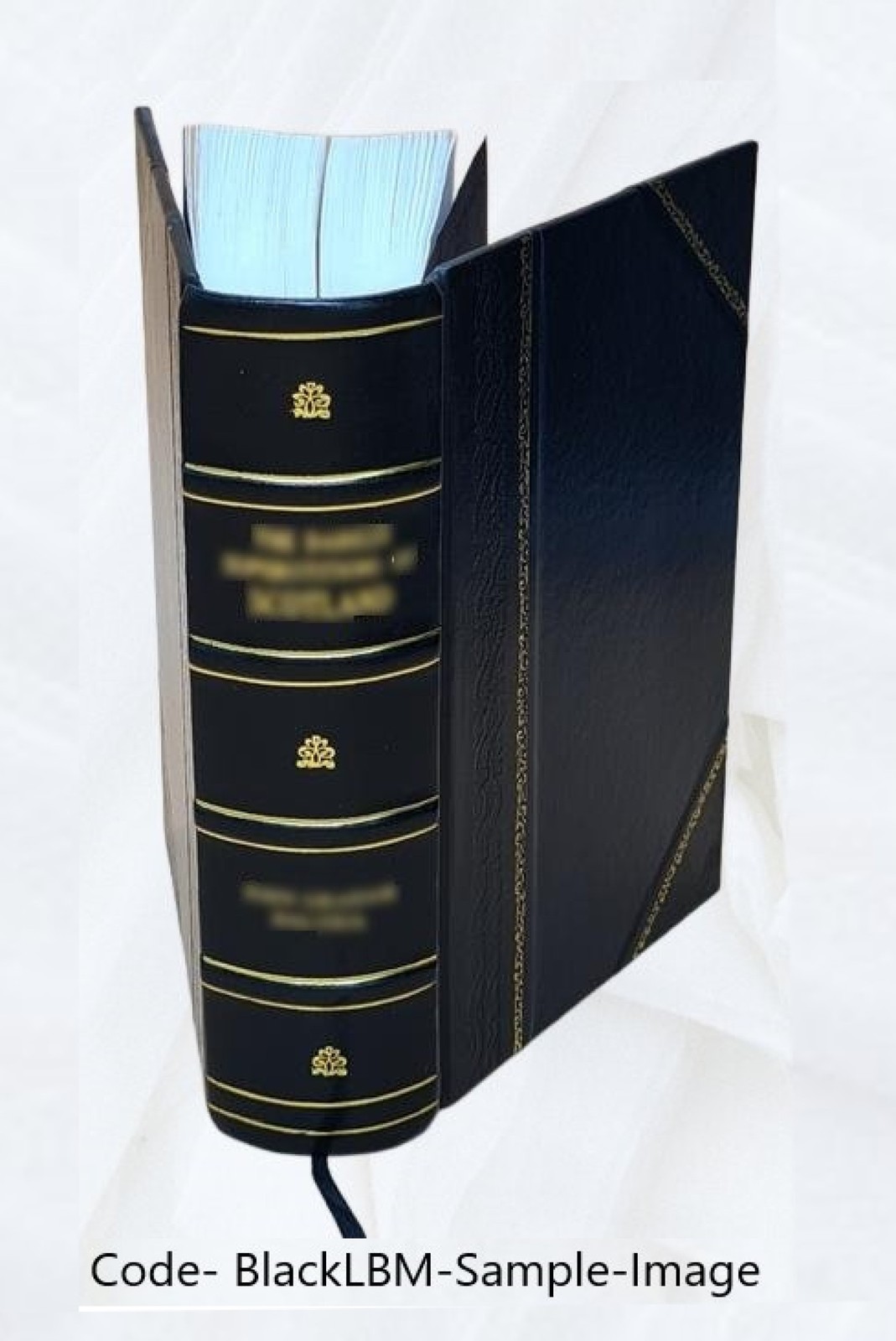 Vitalogy Or Encyclopedia Of Health And Home 1906 [Leather Bound]