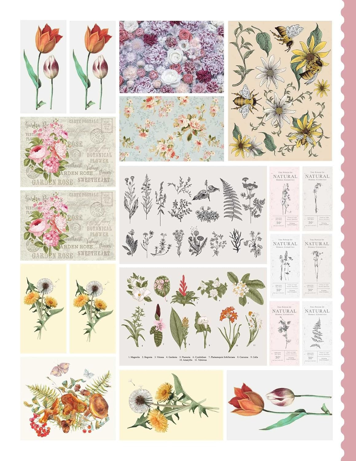 Junk Journal Cutouts: Vintage Designs: From Botanicals to Travel, 350+ Timeless