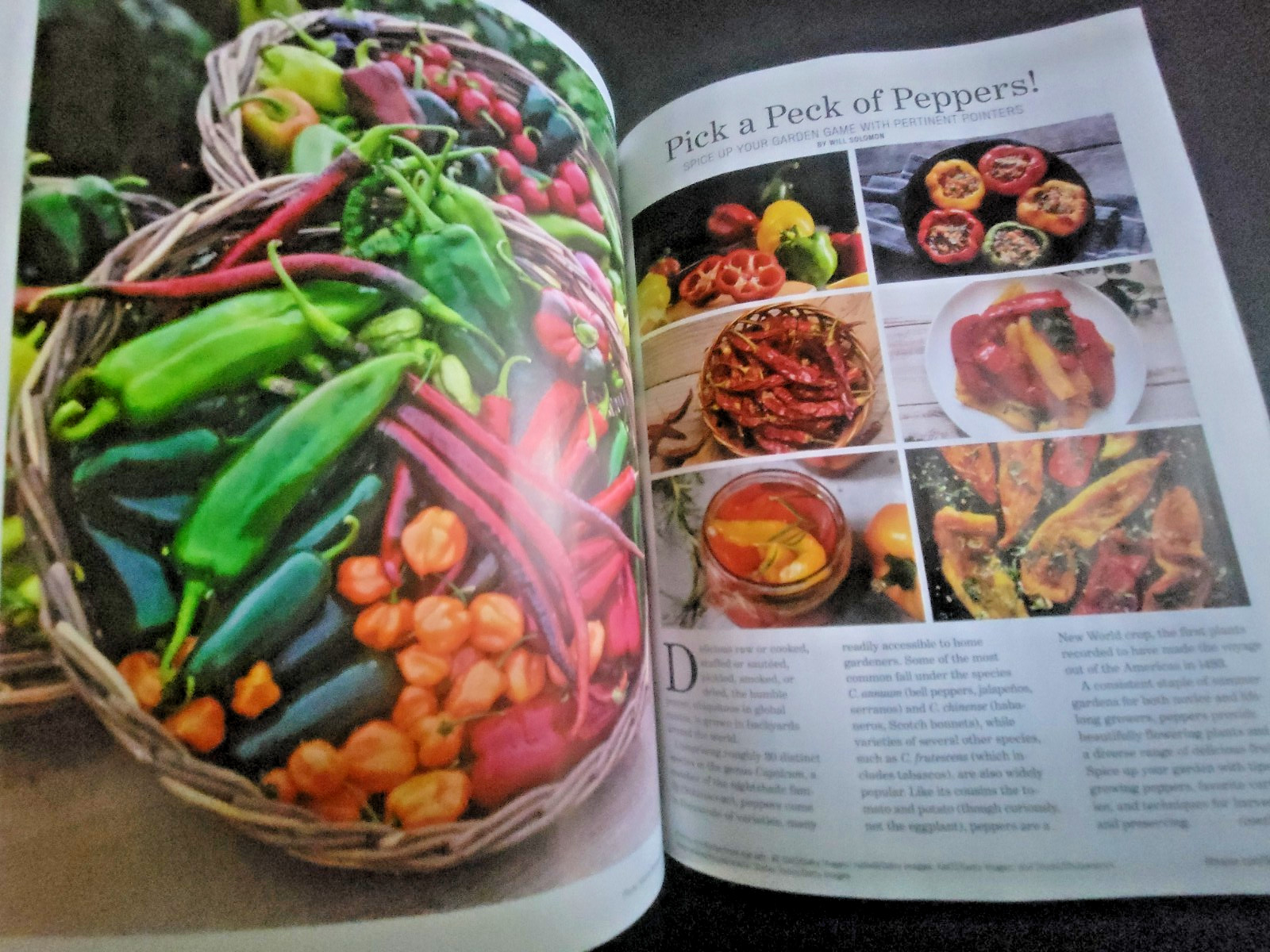 The Old Farmer&rsquo;s Almanac Garden Guide 2026 – All Information Needed For Success