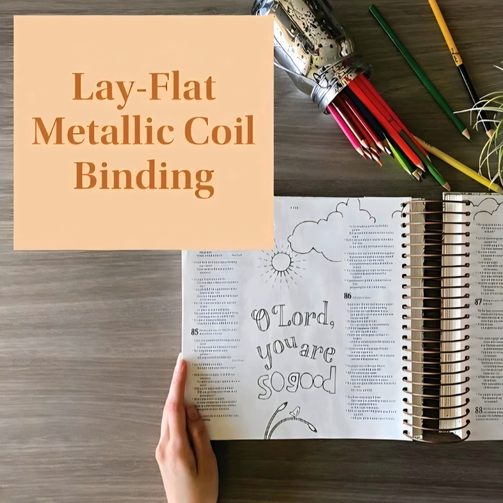 NLT Bible DaySpring Inspire Illustrating Bible With Filament App Spiral Bound