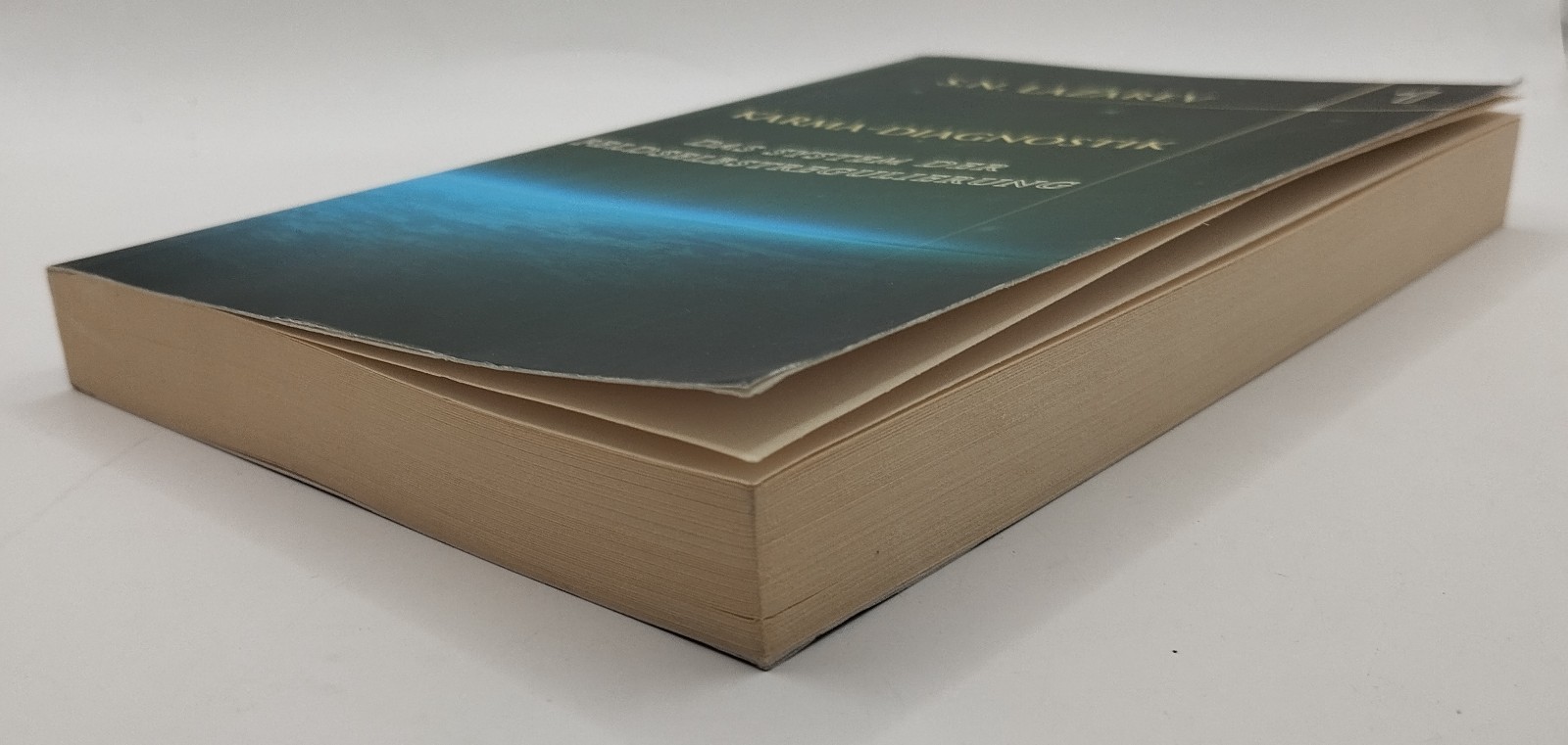 Karma-Diagnostik 1: Das System der Feldselbstreguli… | Buch | Zustand sehr gut
