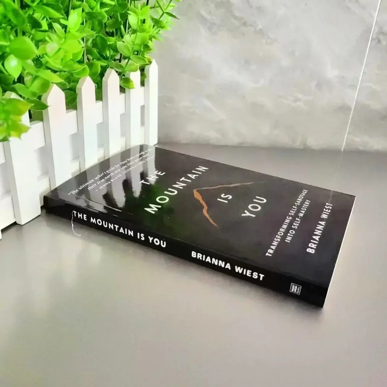 The Mountain Is You: Transforming Self-Sabotage into Self-Mastery Mindset Guide