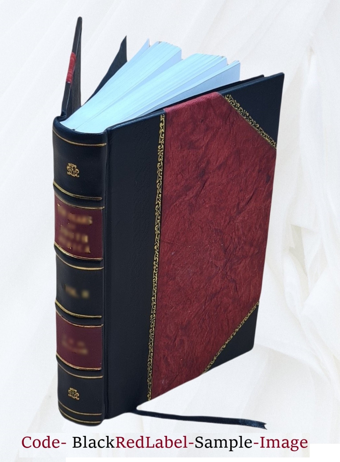 King&rsquo;S American Dispensatory V. 1-2 1909 [Leather Bound] Set Of 2