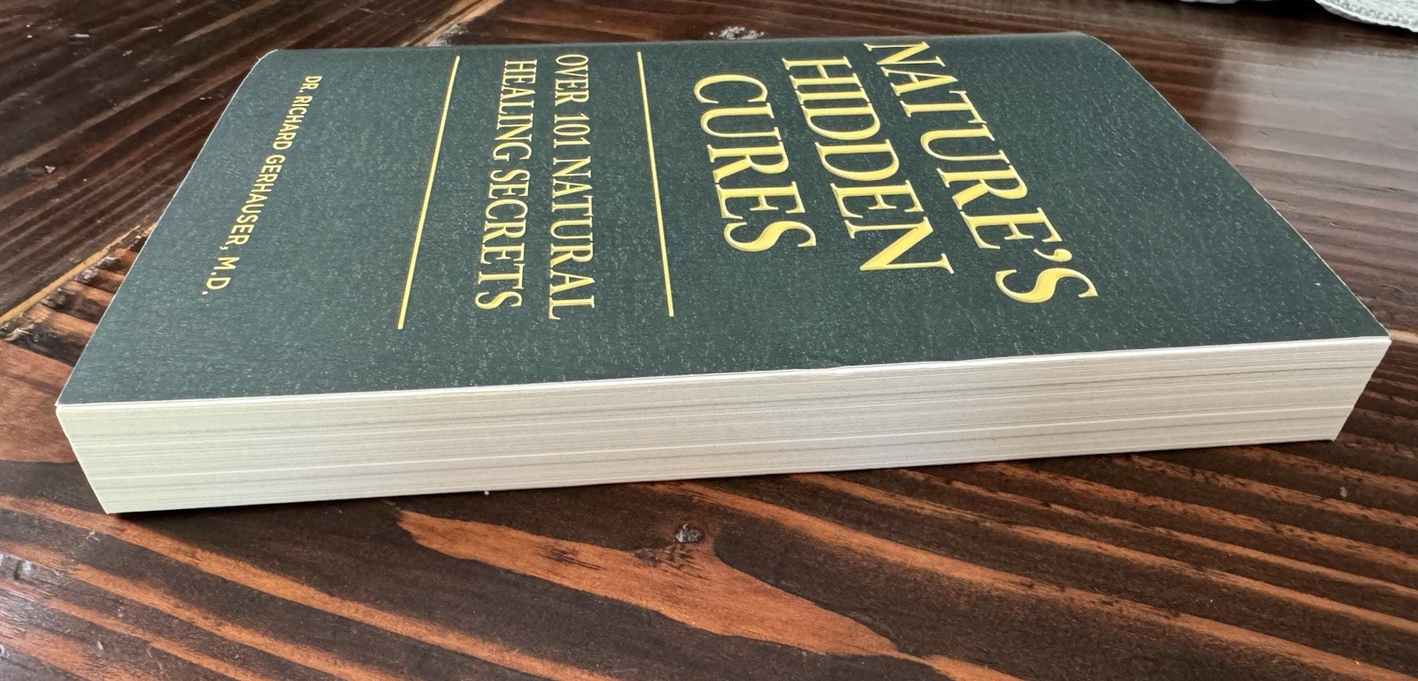 Nature&rsquo;s Hidden Cures: Over 101 Natural Healing Secrets by Gerhauser PB 2024 NEW