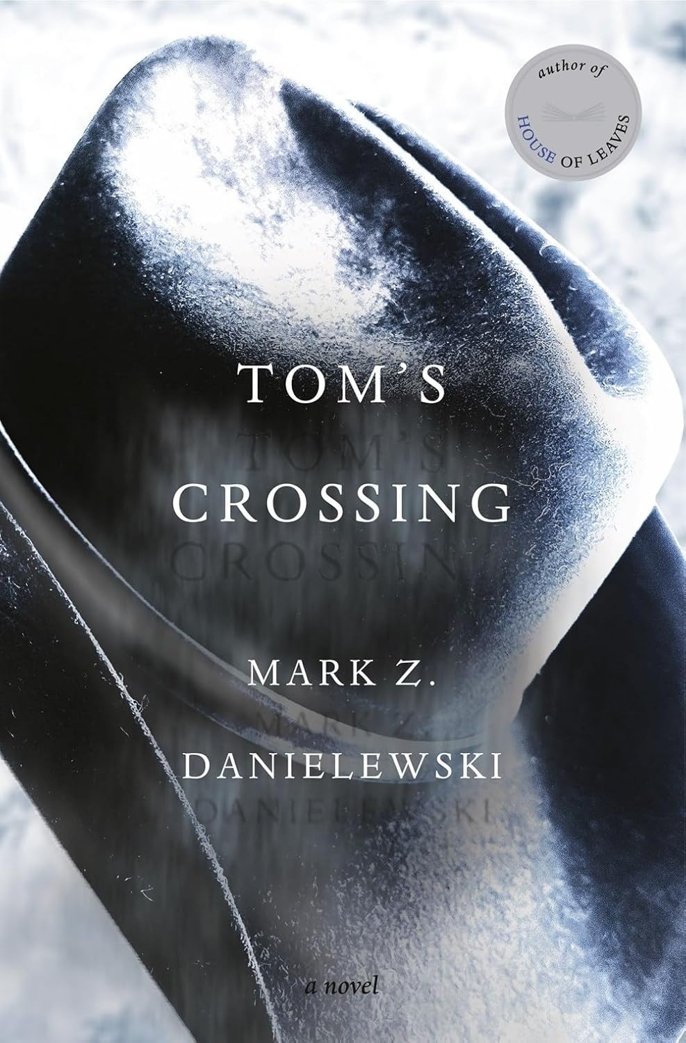 Tom&rsquo;s Crossing : A Novel by Mark Z. Danielewski (2025, Hardcover)