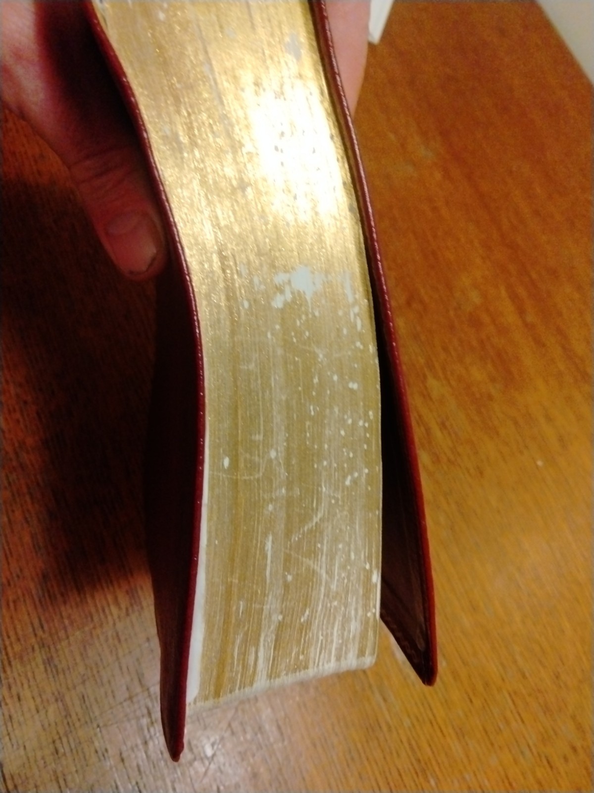 NIV Experiencing God Study Bible – Burgundy Genuine Leather – 1996
