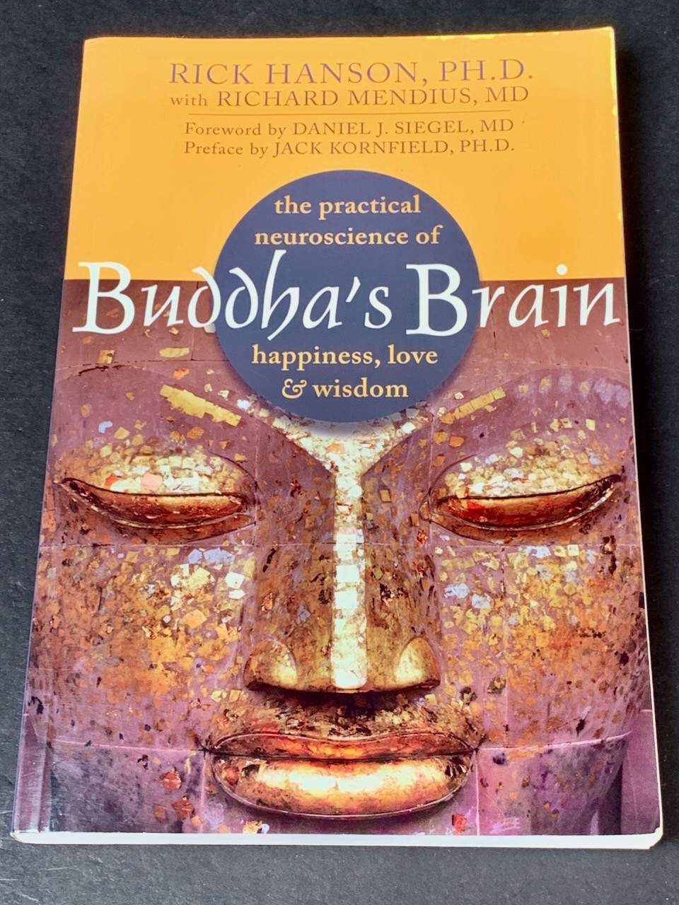 Mindfulness Meditation – Lot of 4 – Jon Kabat-Zinn, « Buddha&rsquo; Brain » – Softcover