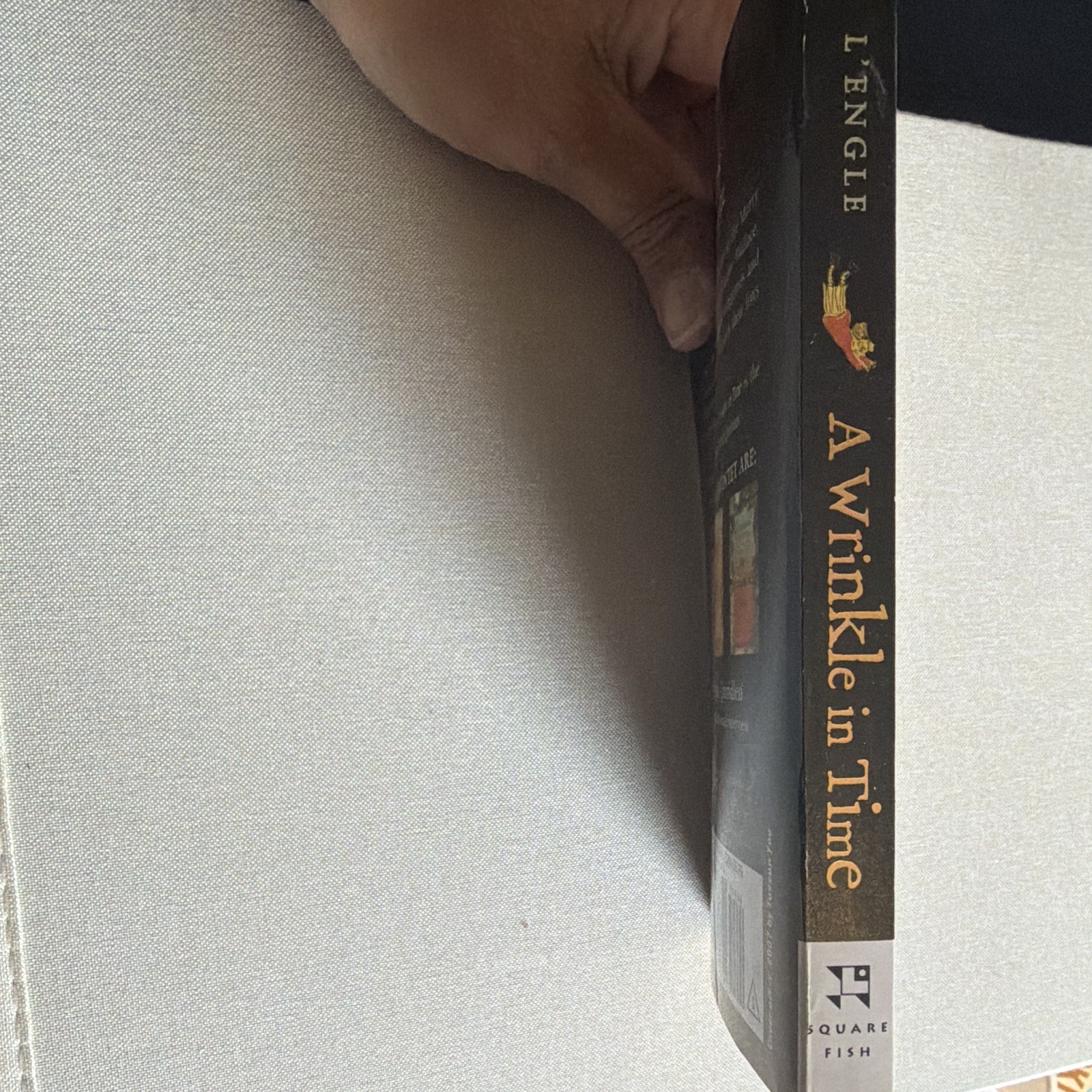 Madeleine L&rsquo;Engle A Wrinkle in Time (2007) Perfect PB First Square Fish Ed