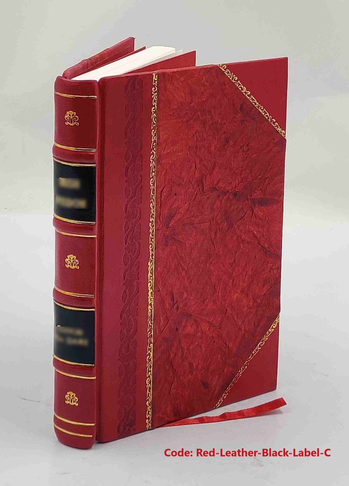 Die Gasmaschinen: Berechnung, Untersuchung und Ausführung der mi [Leather Bound]