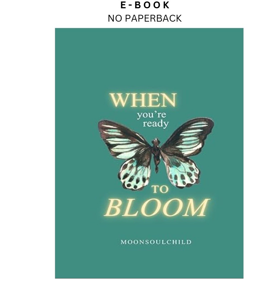 When You&rsquo;re Ready To Bloom (You Are Safe H, Sara Sheehan 2025