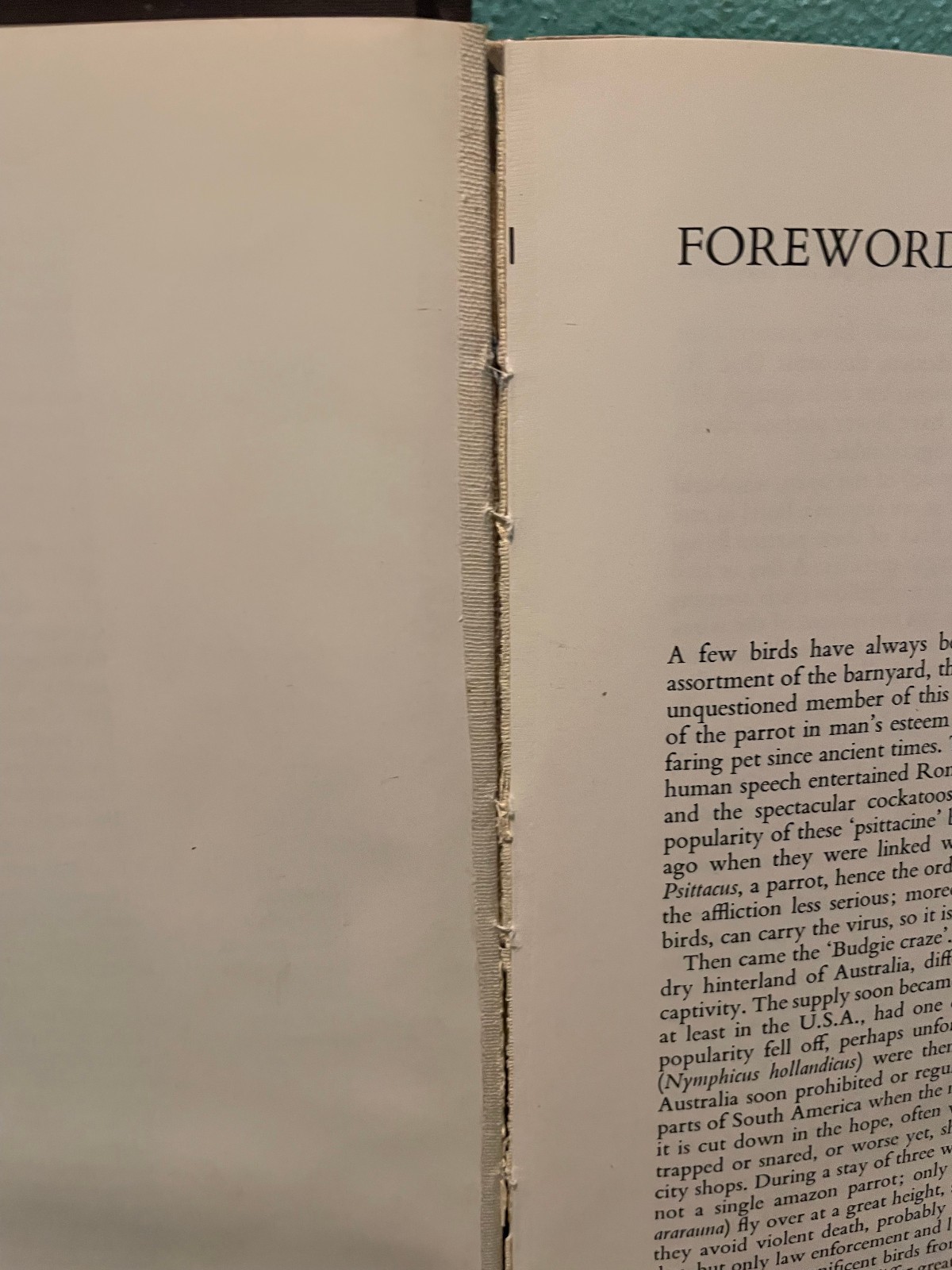 PARROTS OF THE WORLD Forshaw/Cooper 1973 First Edition ISBN 0385056281