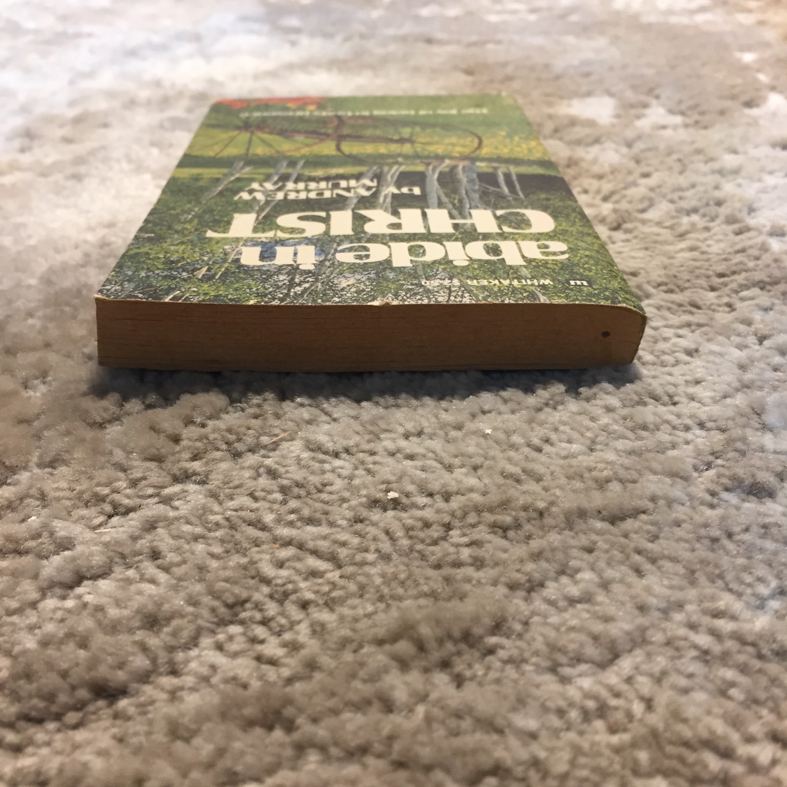 Abide In Christ Andrew Murray Whitaker House Union With Christ Paperback Book