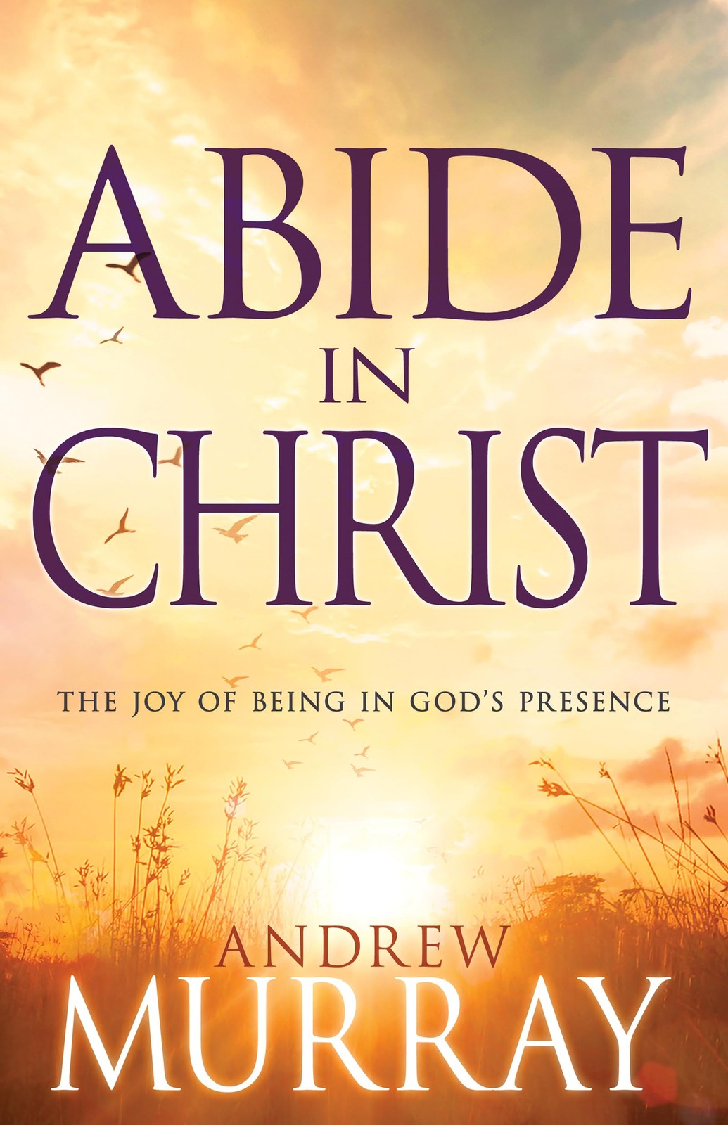 Abide in Christ: The Joy of Being in God&rsquo;s Presence – paperback Murray, Andr…