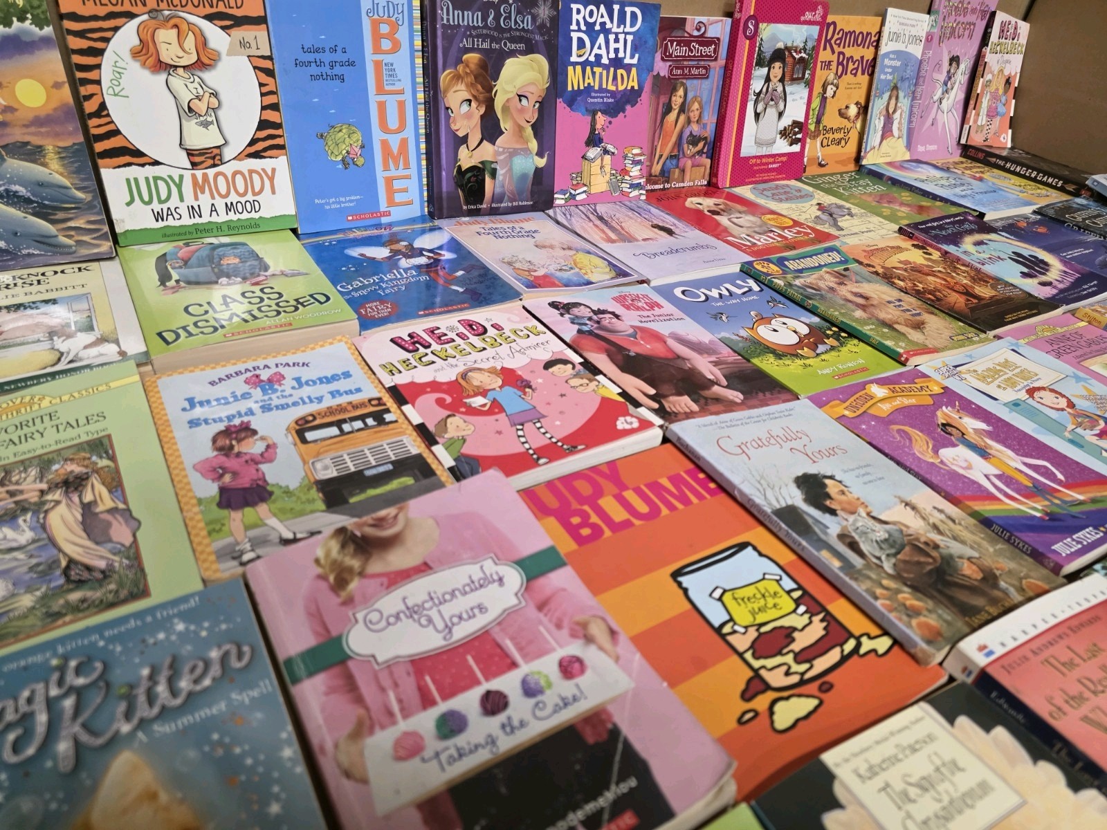 Lot of 20 Chapter Books for GIRLS Youth Early Reader Young Adult Children RANDOM