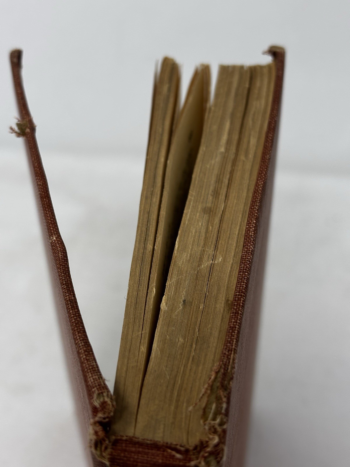 The Pass HC 1944 VTG 1st Edition 269 pgs Thomas Savage READ