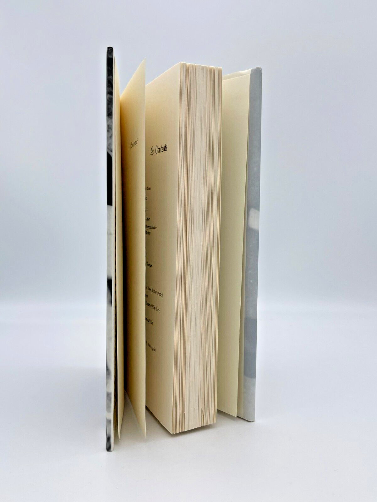 Snapshots 20th Century Mother-Daughter Fiction Vintage 2000 Book 241 pages-A3