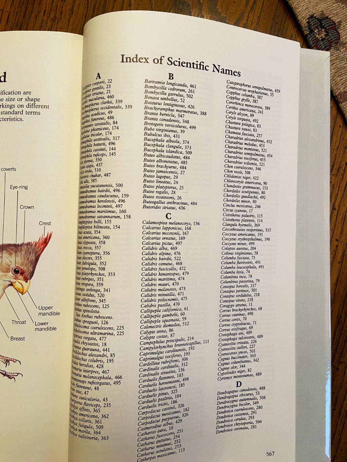 Vintage Reader&rsquo;s Digest « BOOK of NORTH AMERICAN BIRDS », hardcover, 576 pgs, Mint