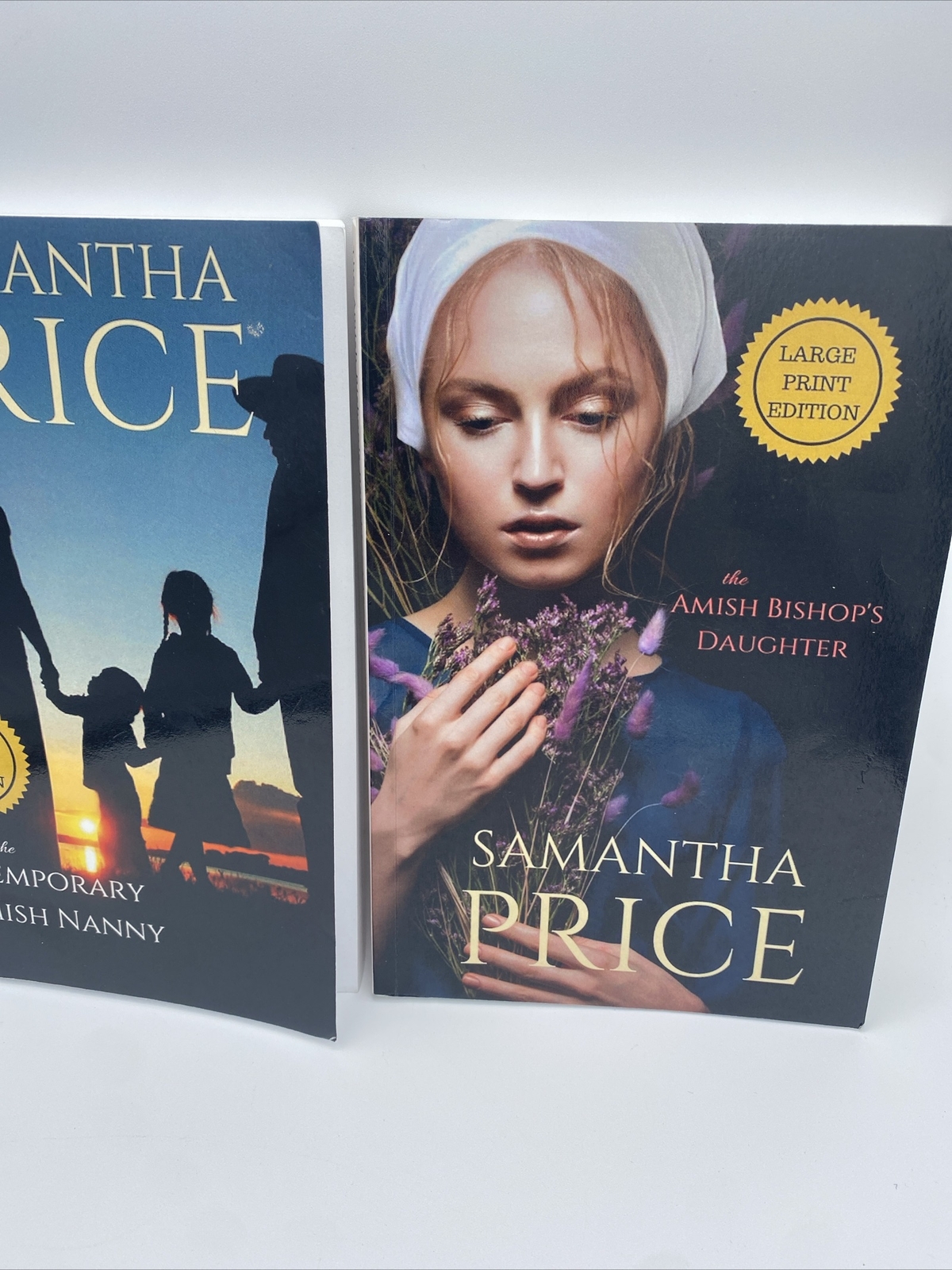The Temporary Amish Nanny & The Amish Bishops Daughter Large Print books