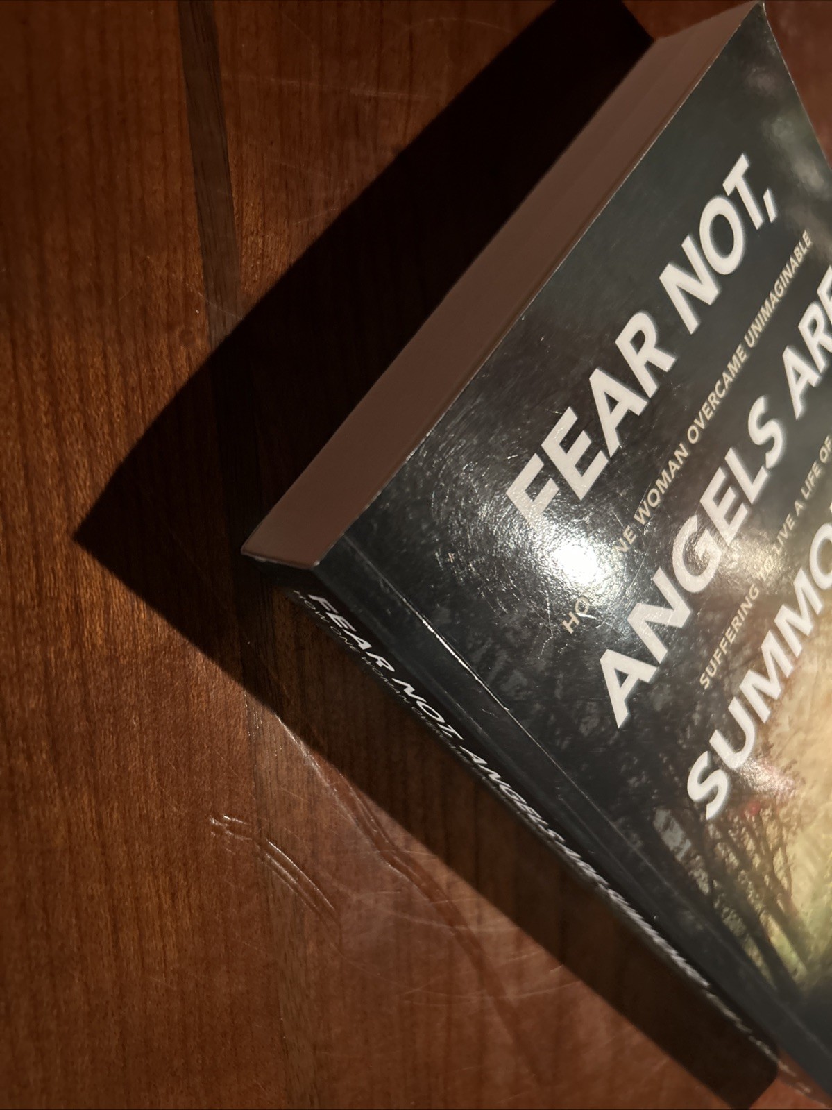SIGNED Fear Not, Angels Are Summoned: How One Woman Overcame Unimaginable…