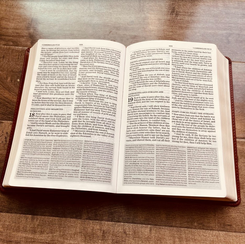 Personalized KJV Study Bible, Daughter of a King Lion Design, Name Engraved