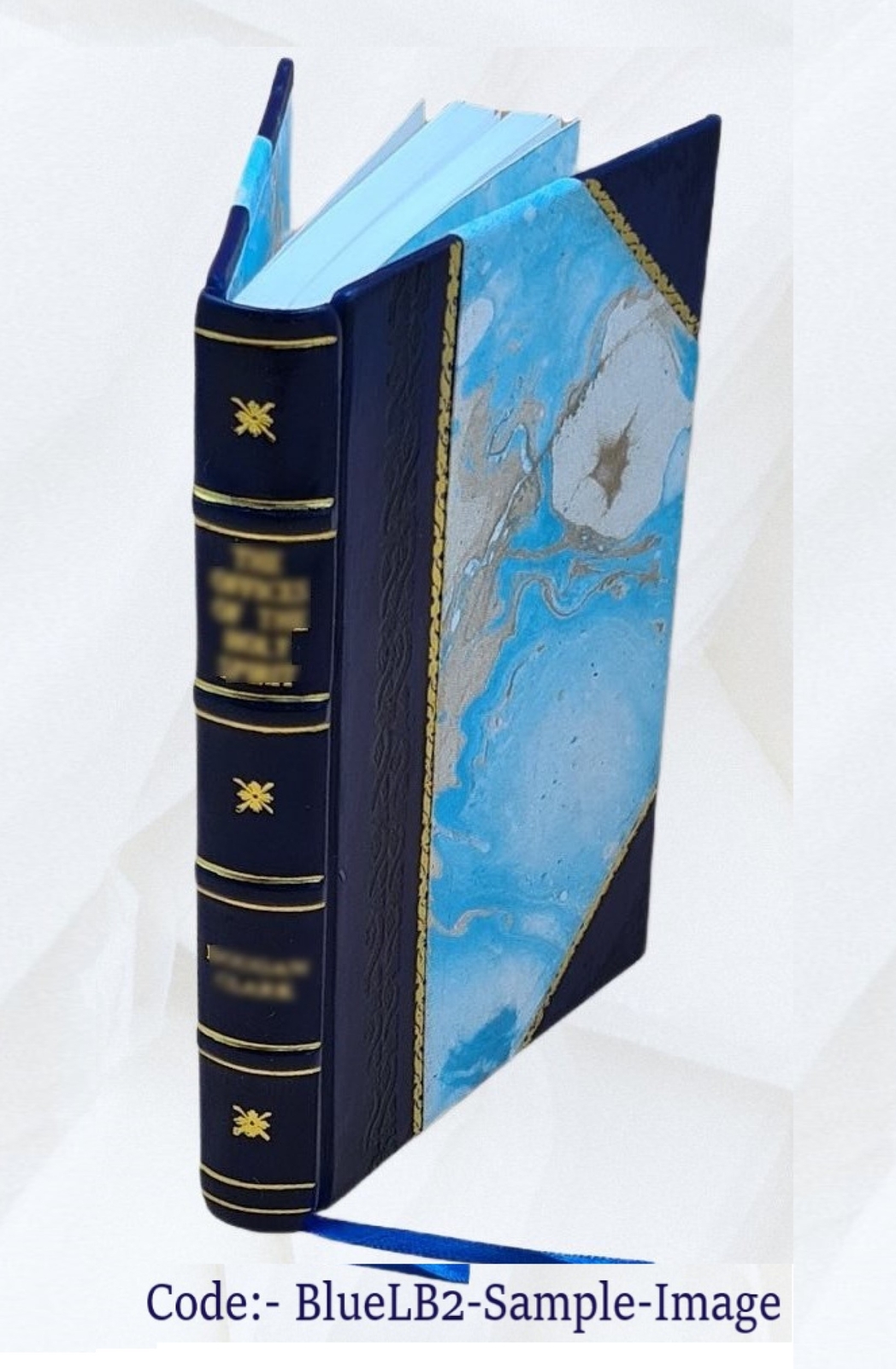 Buddhism Primitive And Present In Magadha And Ceylon 1908 [Leather Bound]