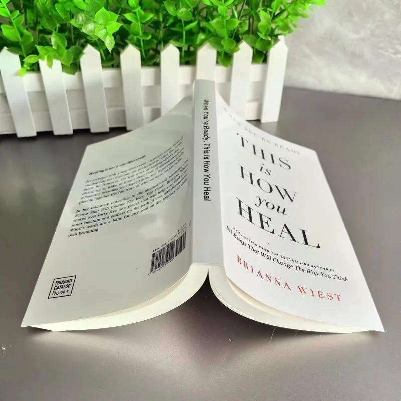 When You&rsquo;re Ready This is How You Heal by Brianna Wiest – USA Seller