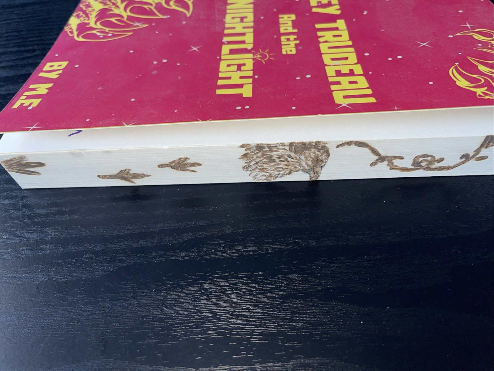 Wiley Trudeau and the Knight-Light by Mary Edmondson (Signed Ed., Paperback)