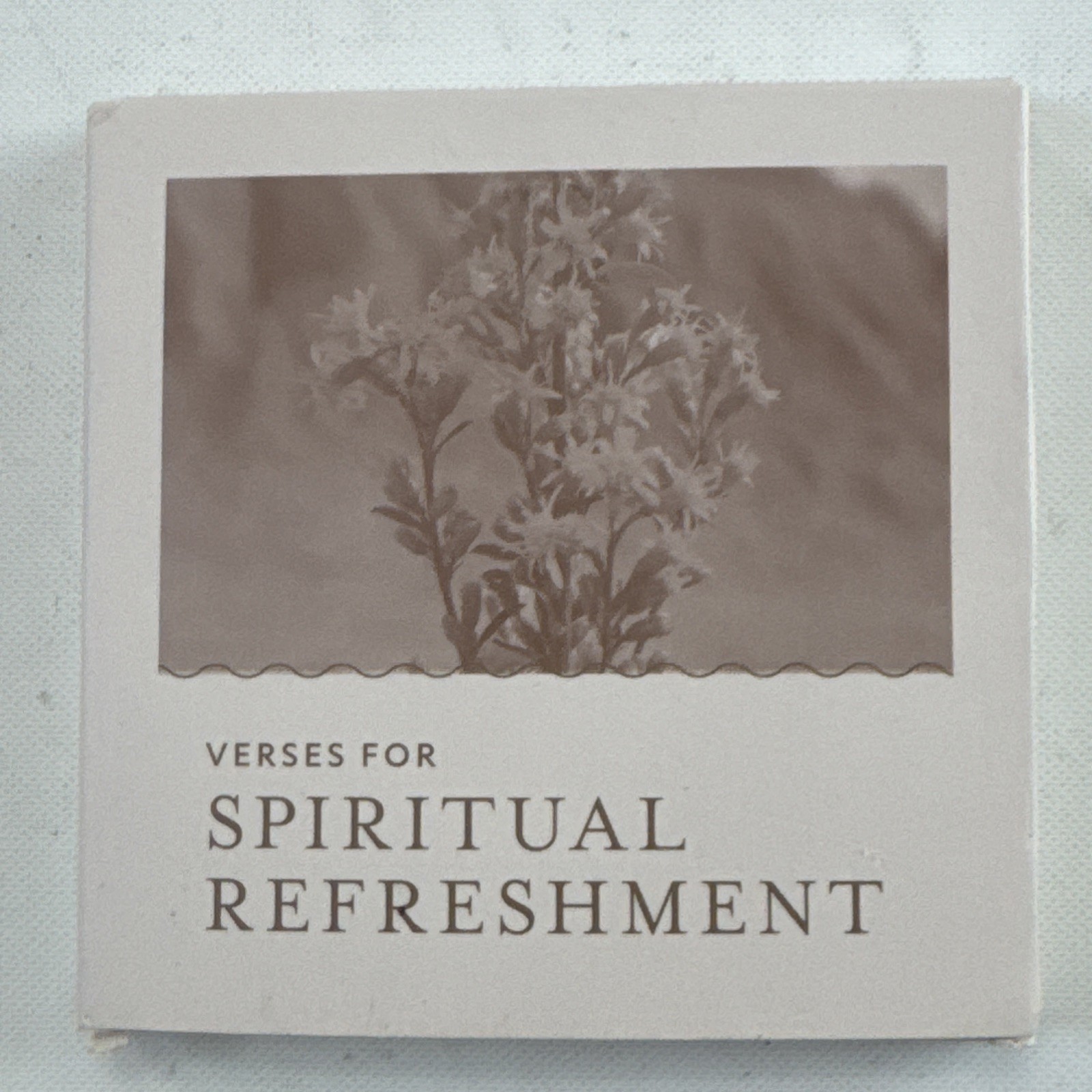 The Daily Grace Co, Verses For Spirityal Refreshement
